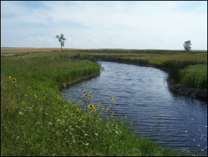 creekimage